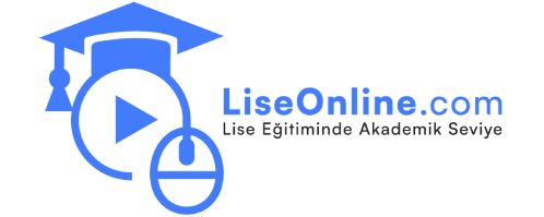 Lise Online